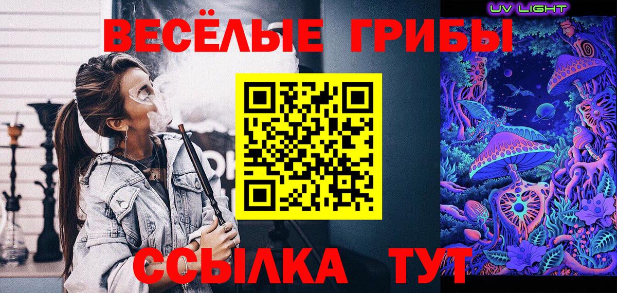 Псилоцибиновые грибы GOLDEN TEACHER  наркошоп  Вход с VPN  Ставрополь  Псилоцибиновые грибы прущие грибы 
